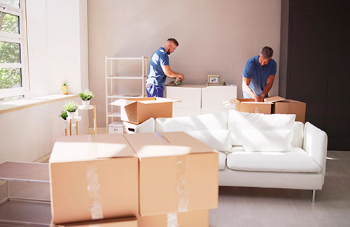 Interior Designer & White Glove Furniture Delivery Services | Premier ...